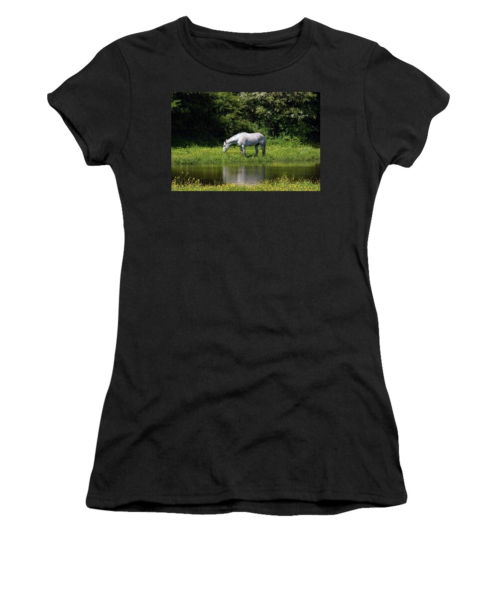 Ulverston Women's T-Shirt featuring the photograph CUMBRIA. Ulverston. Horse By The Canal by Lachlan Main