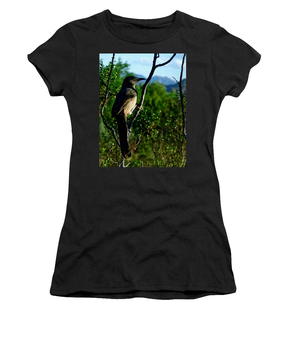 Affordable Women's T-Shirt featuring the photograph Curve-Billed Thrasher on Creosote by Judy Kennedy