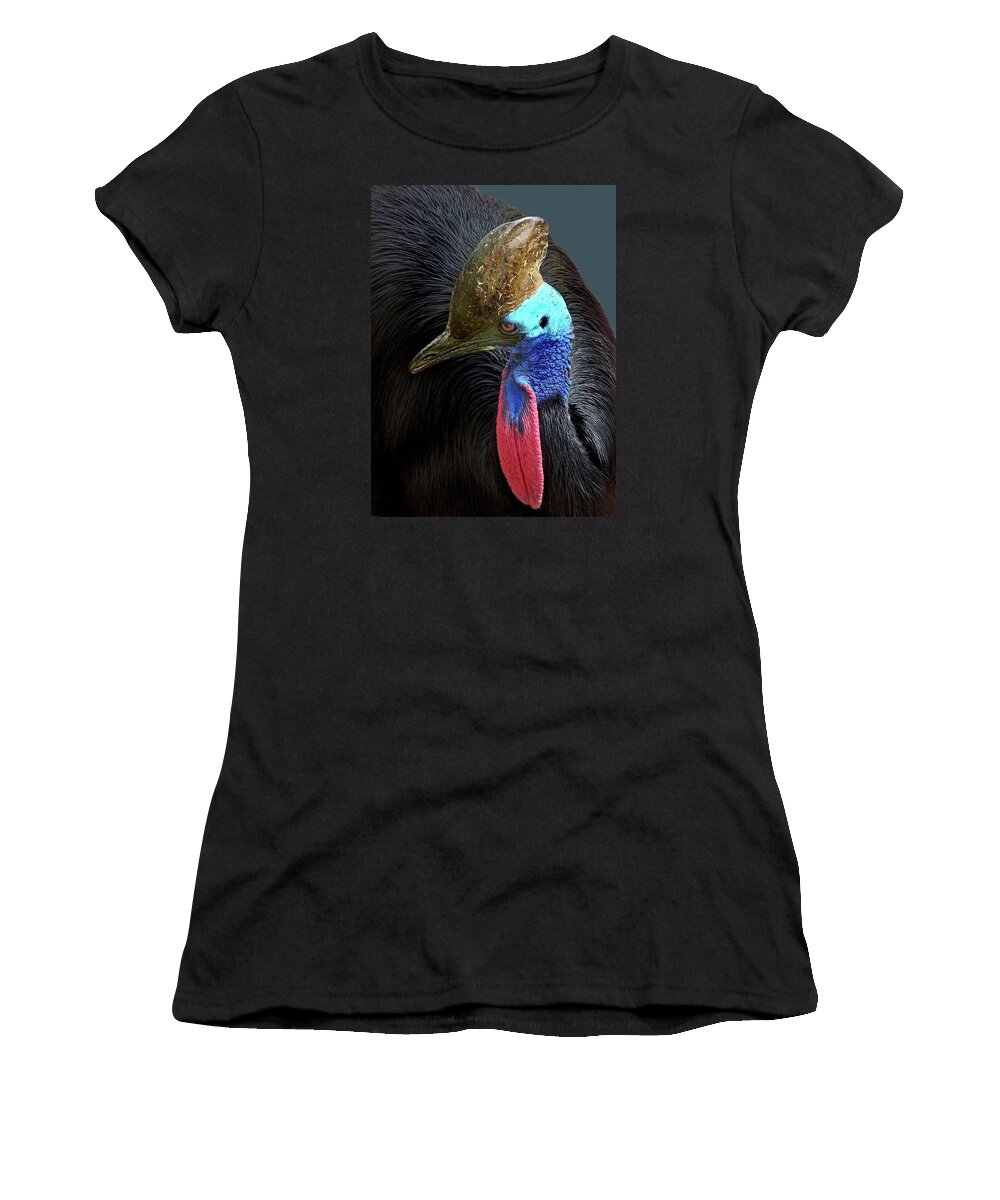 Birds Women's T-Shirt featuring the photograph Elegant in Black - Double-wattled Cassowary by Nikolyn McDonald