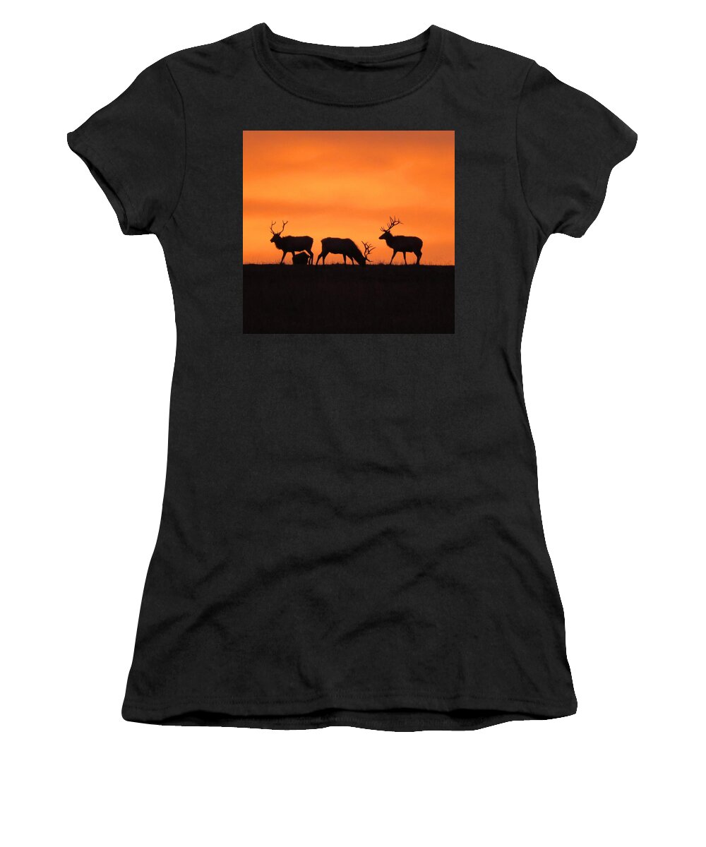 Elk Women's T-Shirt featuring the photograph Elk in the morning light by Keith Stokes