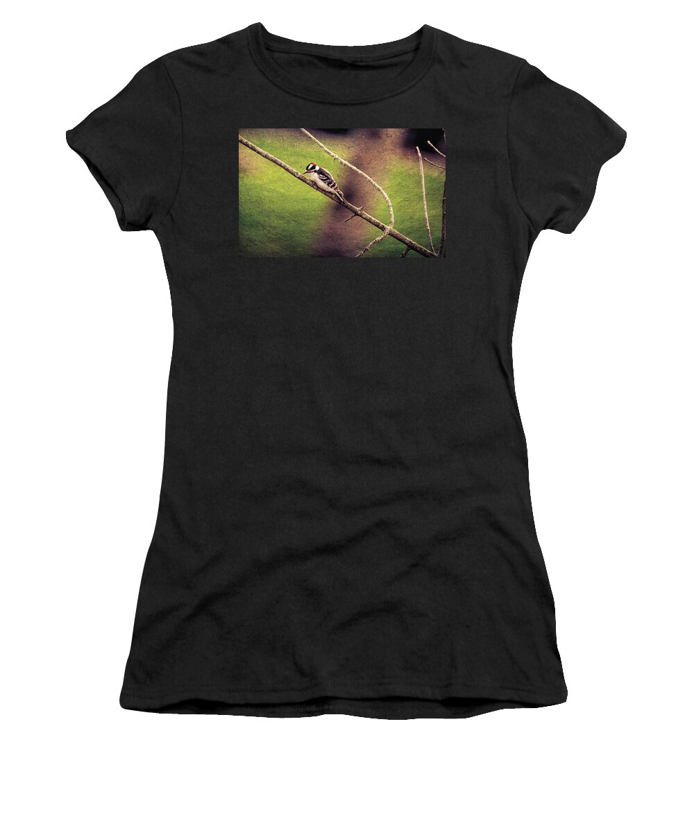  Women's T-Shirt featuring the digital art Faded Canvas Woodpecker by Pheasant Run Gallery