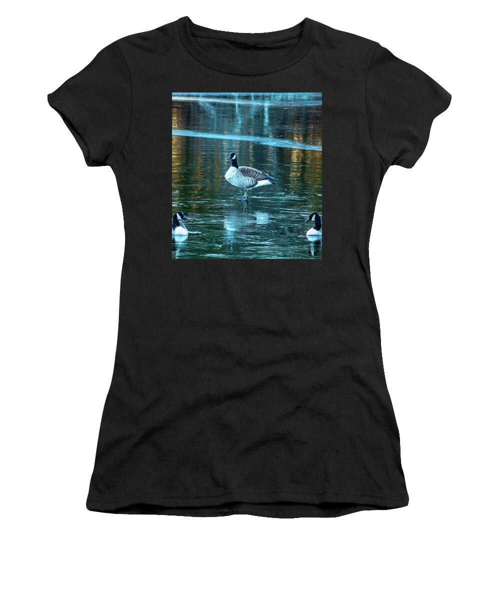 Geese Women's T-Shirt featuring the pyrography Geese on the ice by William Bretton