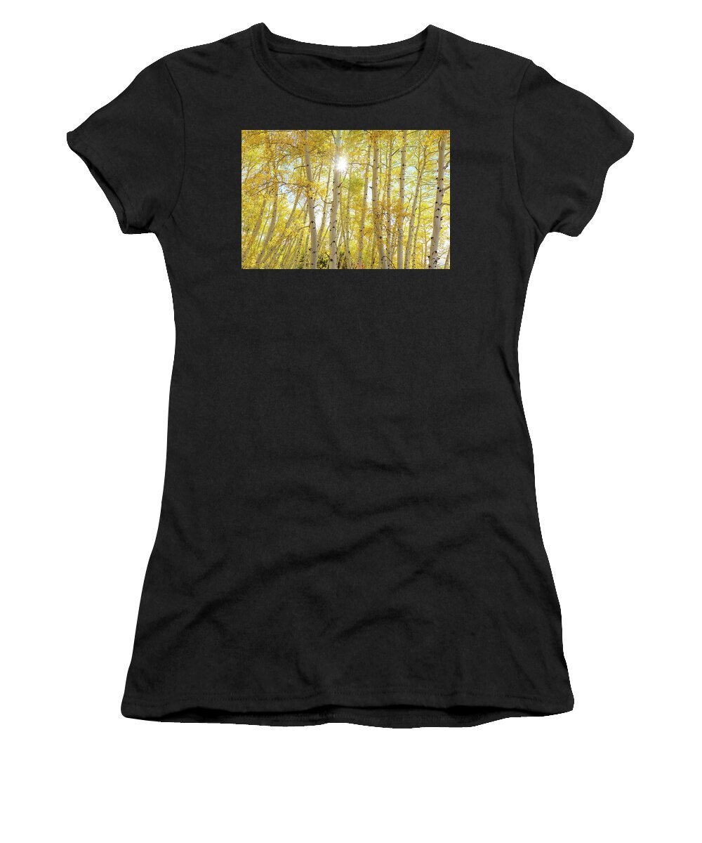 Sunshine Women's T-Shirt featuring the photograph Golden Sunshine On An Autumn Day by James BO Insogna