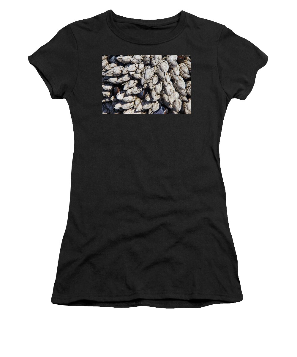 Cobble Beach Women's T-Shirt featuring the photograph Gooseneck barnacles by Steve Estvanik