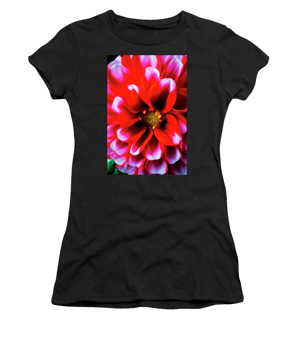 White Women's T-Shirt featuring the photograph Graphic Red White Dahlia by Garry Gay