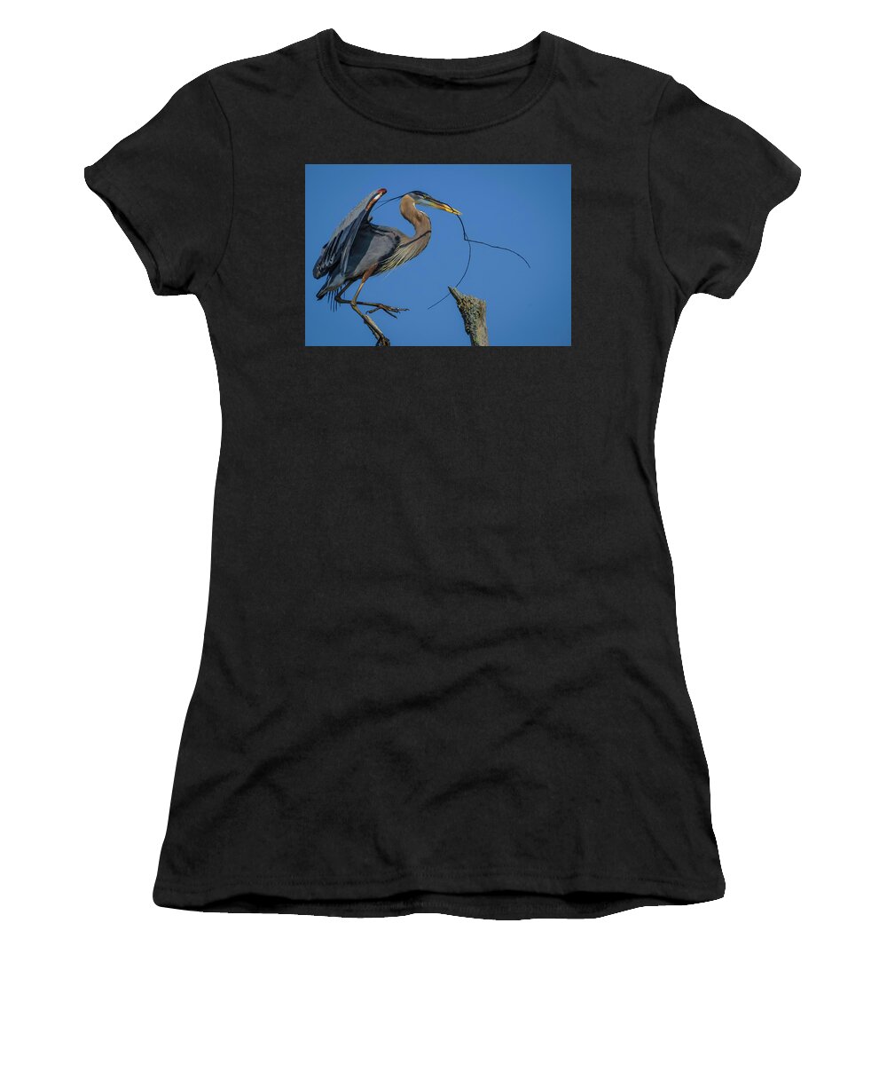 Herons Women's T-Shirt featuring the photograph Great Blue Heron 4034 by Donald Brown