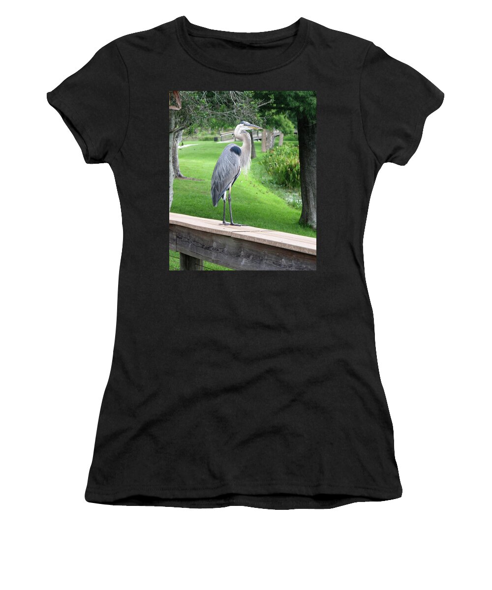 Heron Women's T-Shirt featuring the photograph Great Blue Heron, Central Florida by Philip And Robbie Bracco