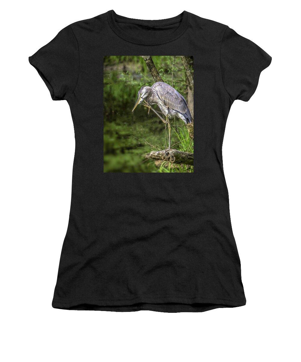 Birds Women's T-Shirt featuring the photograph Great Blue Heron Itch by Donald Brown