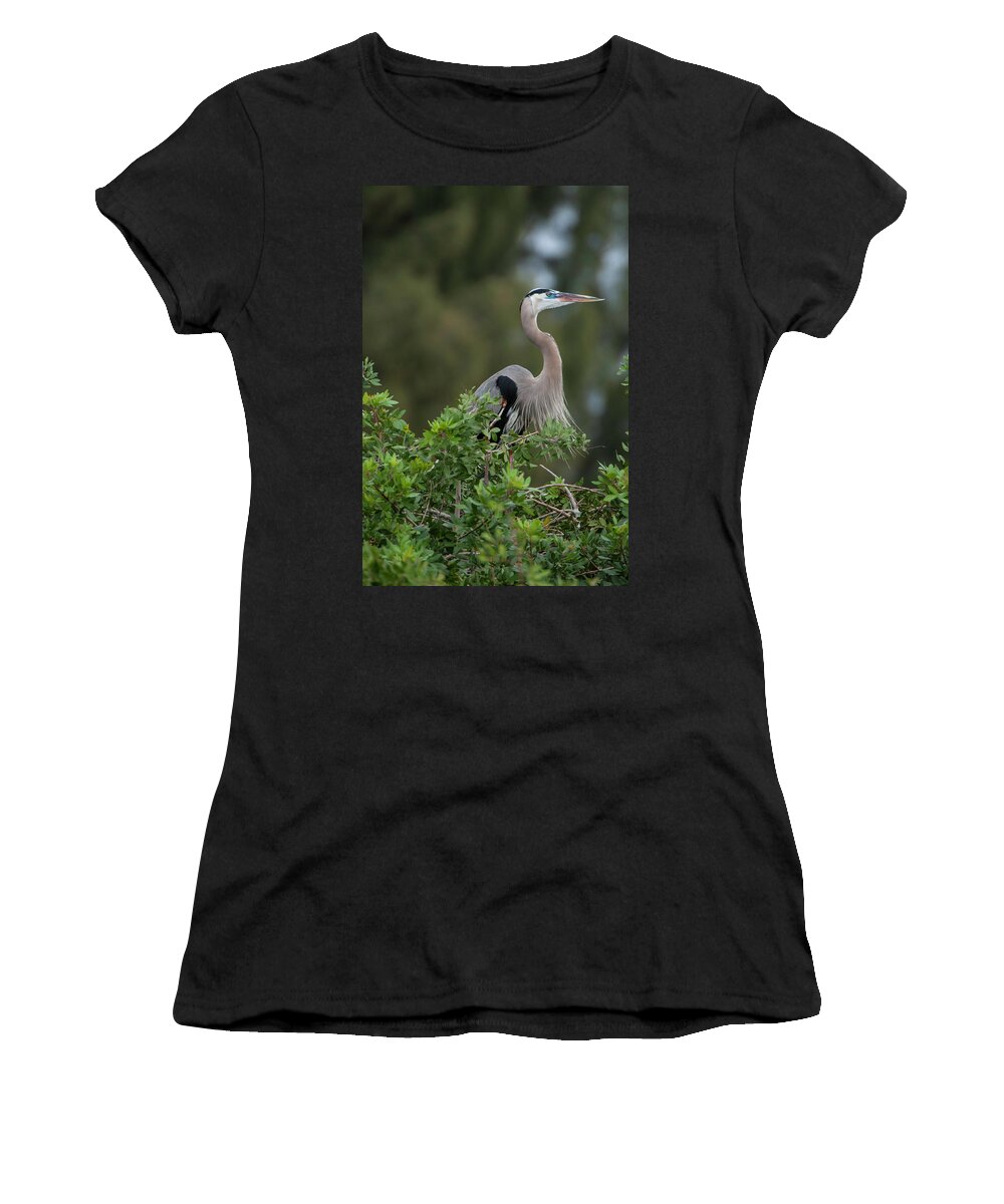 Birds Women's T-Shirt featuring the photograph Great Blue Heron Portrait by Donald Brown