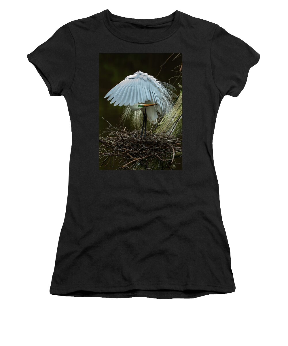 Nature Women's T-Shirt featuring the photograph Great Egret Beauty by Donald Brown