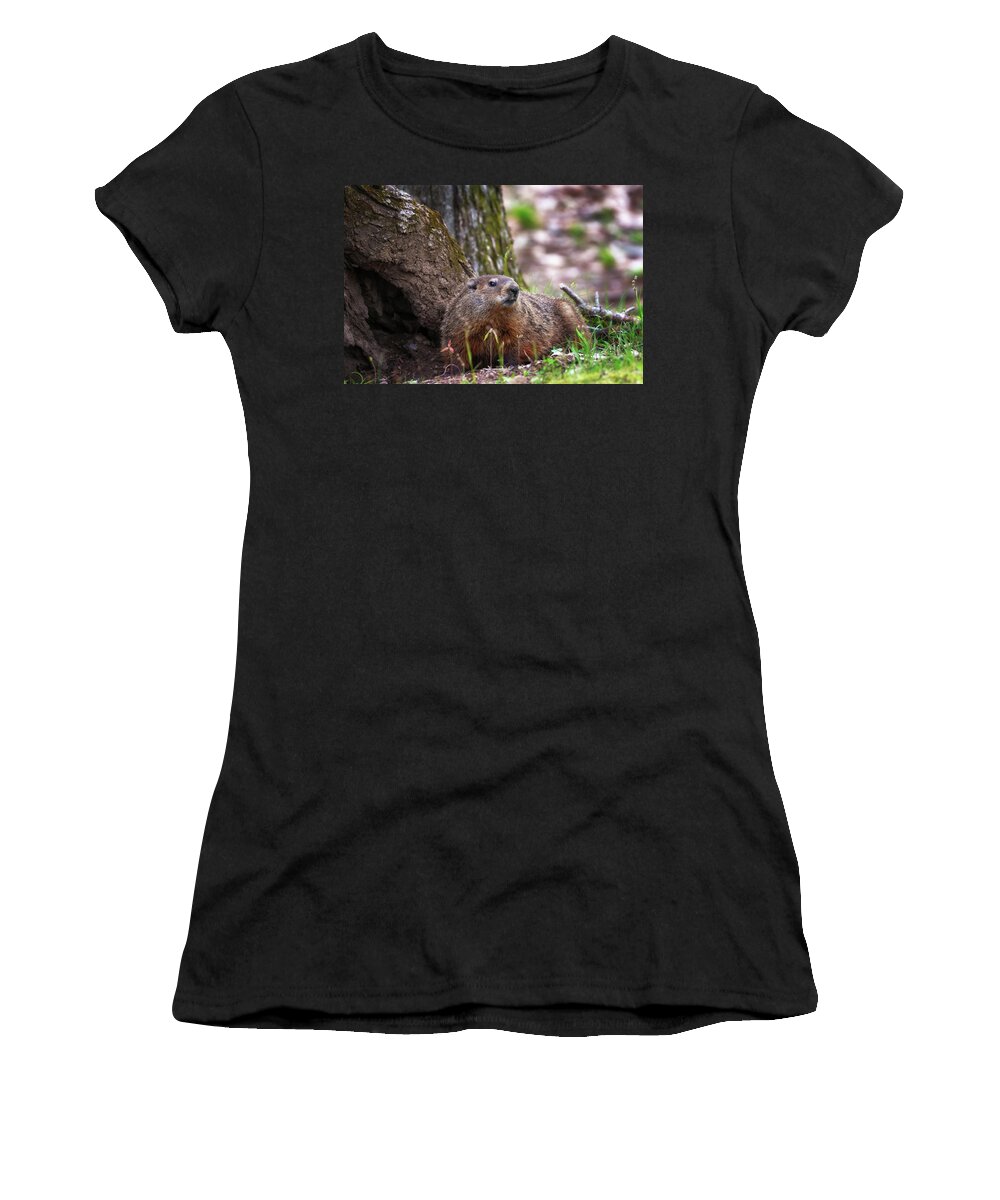Groundhog Women's T-Shirt featuring the photograph Groundhog by Susan Rissi Tregoning