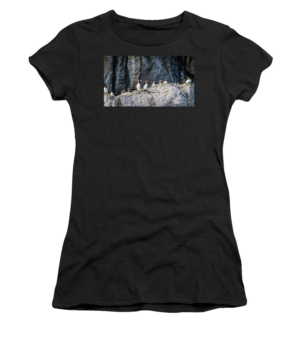 Guillemot Women's T-Shirt featuring the photograph Guillemots on the cliff ledges by Lyl Dil Creations