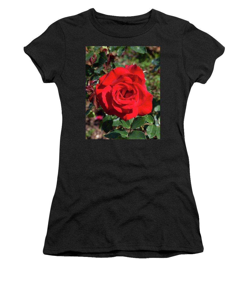 Scenic Women's T-Shirt featuring the photograph Hybrid Tea Rose DTHN0270 by Gerry Gantt