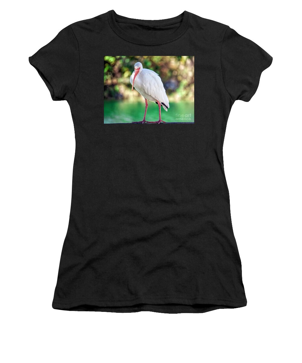 American White Ibis Women's T-Shirt featuring the photograph Ibis with Attitude by Judy Kay