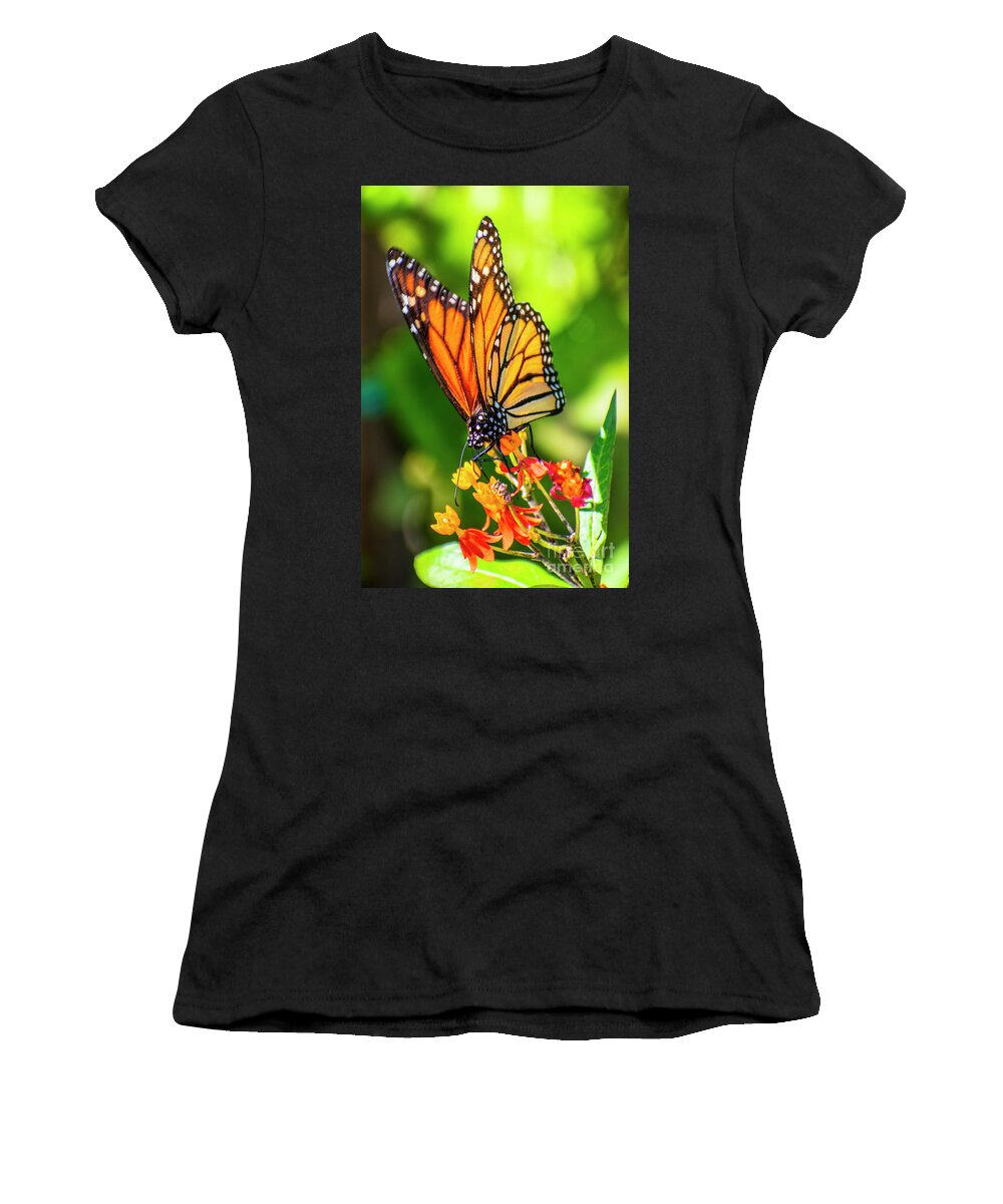 Butterfly Women's T-Shirt featuring the digital art M Monarch Butterfly One by Anthony Ellis