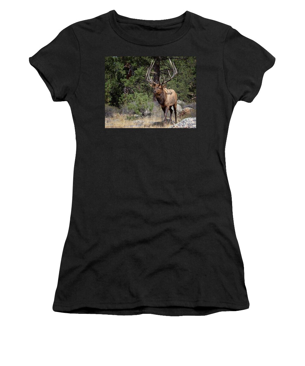 Elk Women's T-Shirt featuring the photograph Majesty in Motion by Jim Garrison