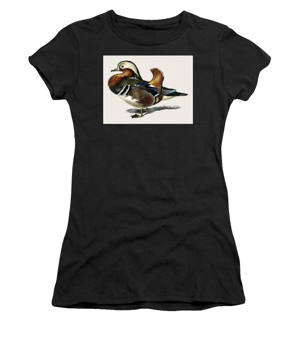 Duck Women's T-Shirt featuring the painting Mandarin duck Aix galericulata illustrated by Charles Dessalines D' Orbigny 1806-1876 1 by Celestial Images