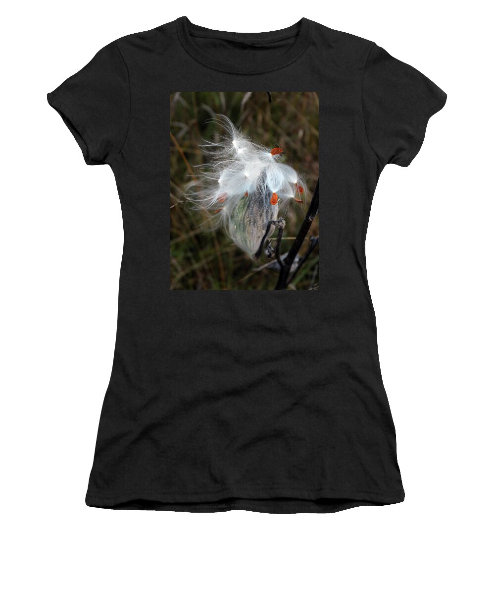Milkweed Pods Women's T-Shirt featuring the photograph Milkweed Pod Art by David T Wilkinson