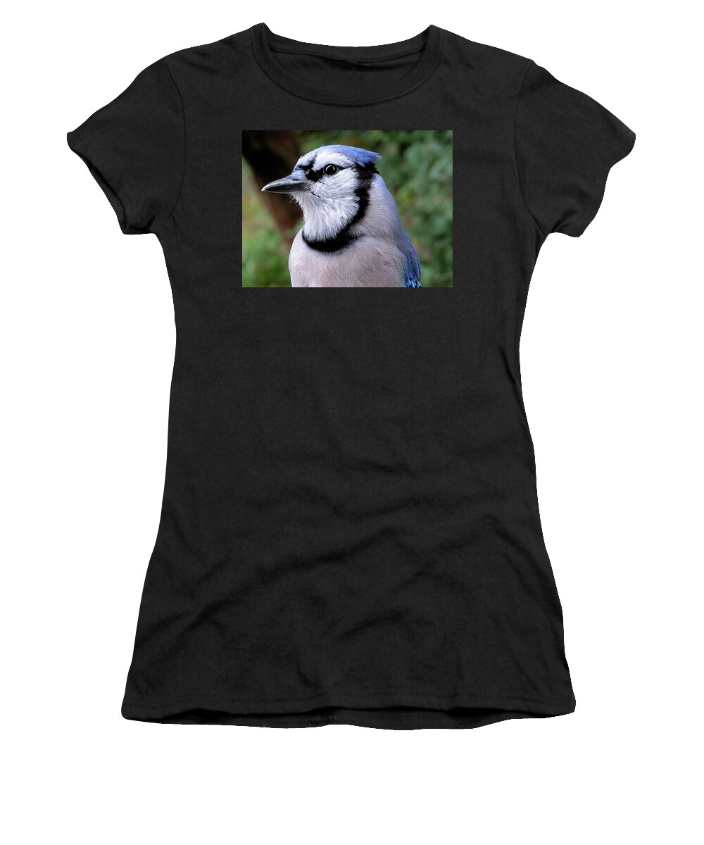 Blue Jay Women's T-Shirt featuring the photograph Mr. Blue by Linda Stern