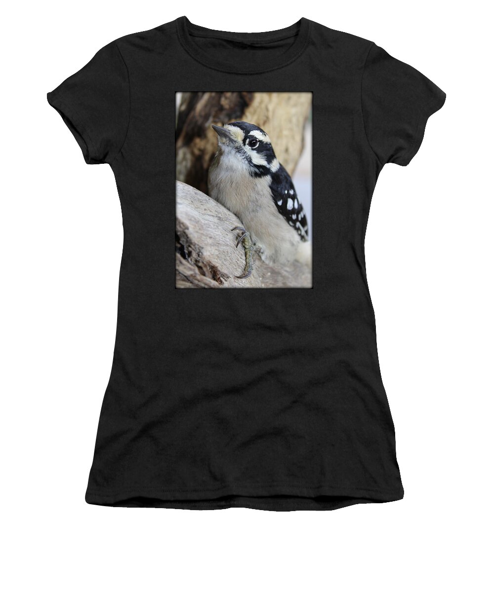 Woodpecker Women's T-Shirt featuring the photograph Ms. Pecker by Tammy Schneider