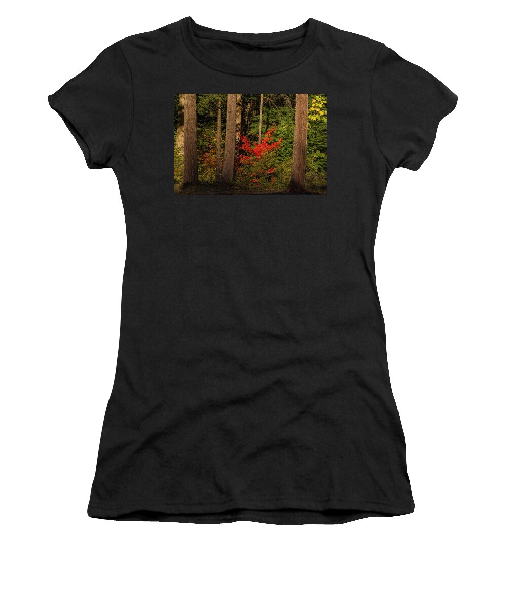 Silver Falls Women's T-Shirt featuring the photograph October forest by Ulrich Burkhalter