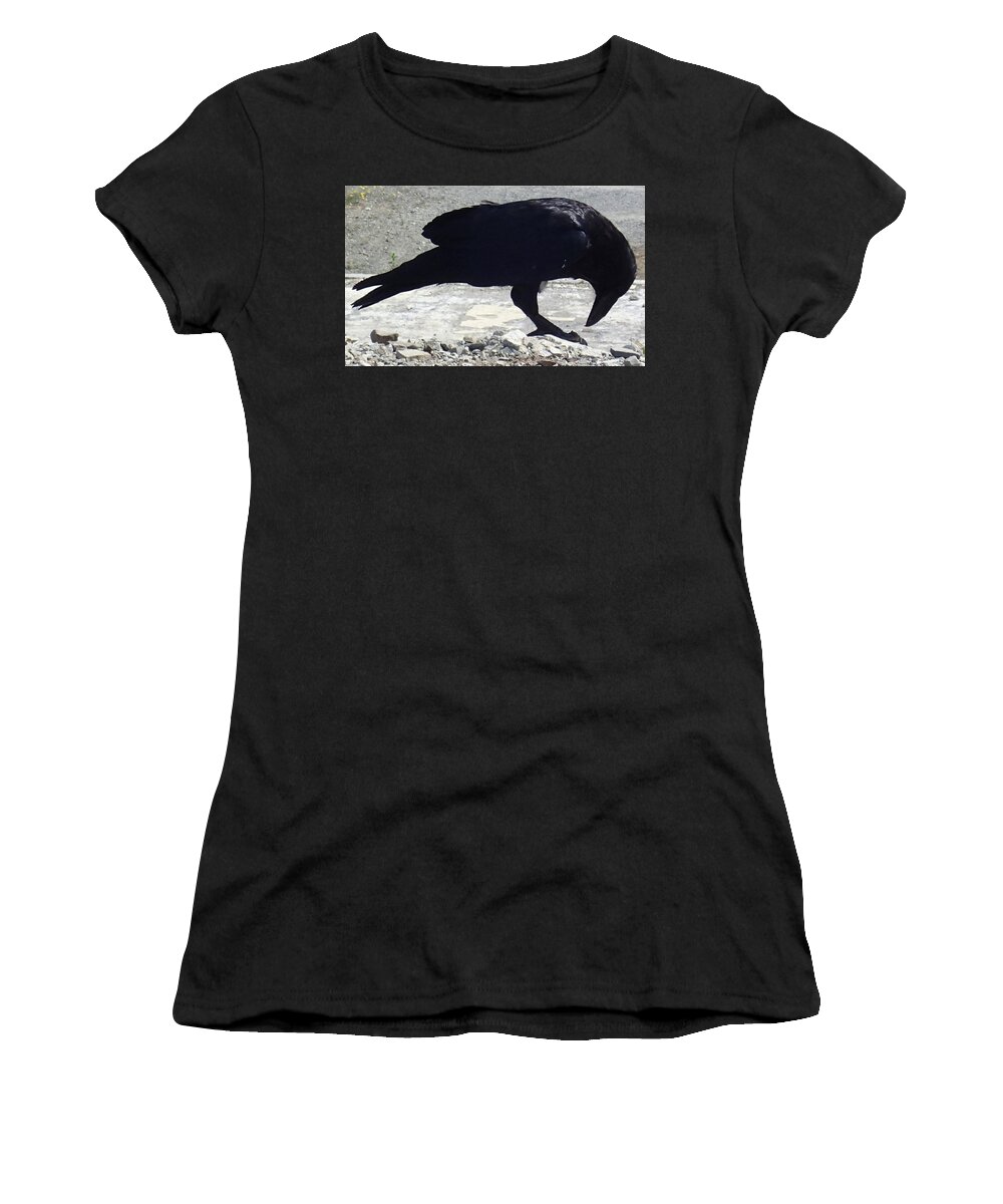 Raven. Black Women's T-Shirt featuring the photograph Peck by Fred Bailey