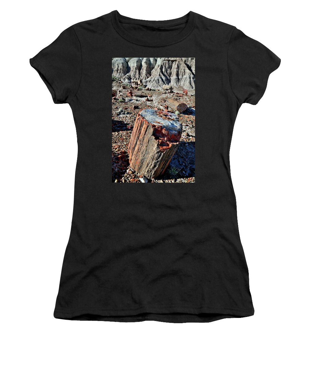 Petrified Forest National Park Women's T-Shirt featuring the photograph Petrified Stump in Jasper Forest by Ray Mathis