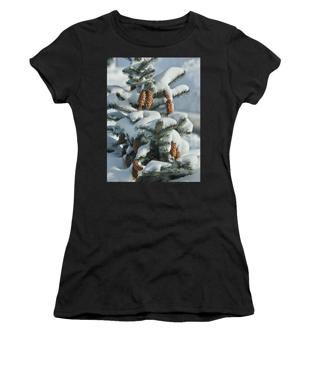 Pinecones Women's T-Shirt featuring the photograph Pinecones In Snow by Kathy Ozzard Chism