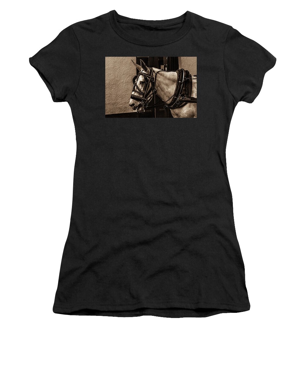 Photo Women's T-Shirt featuring the photograph Portrait of a horse by Jason Hughes