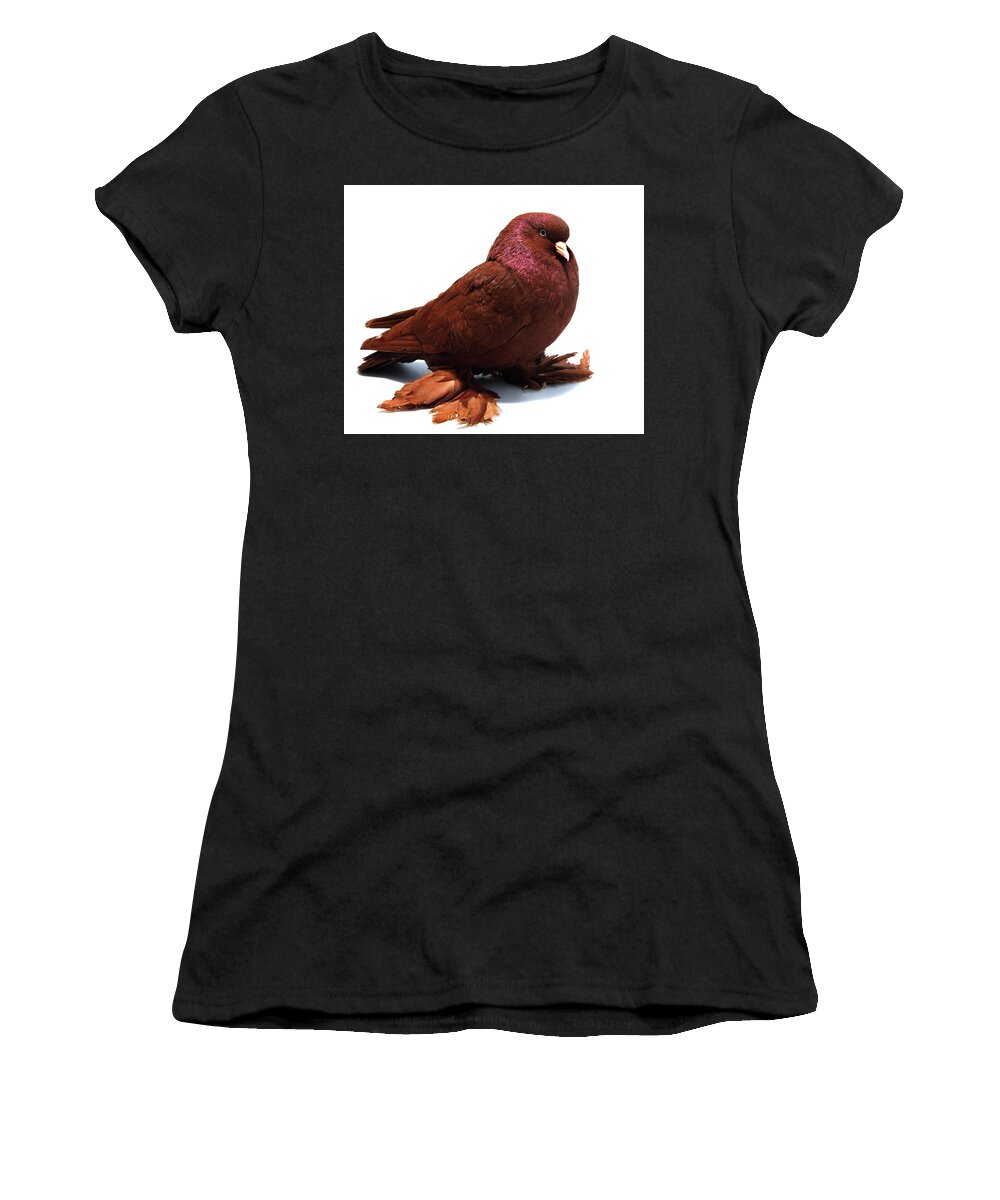 Pigeon Women's T-Shirt featuring the photograph Red West of England Tumbler Pigeon by Nathan Abbott