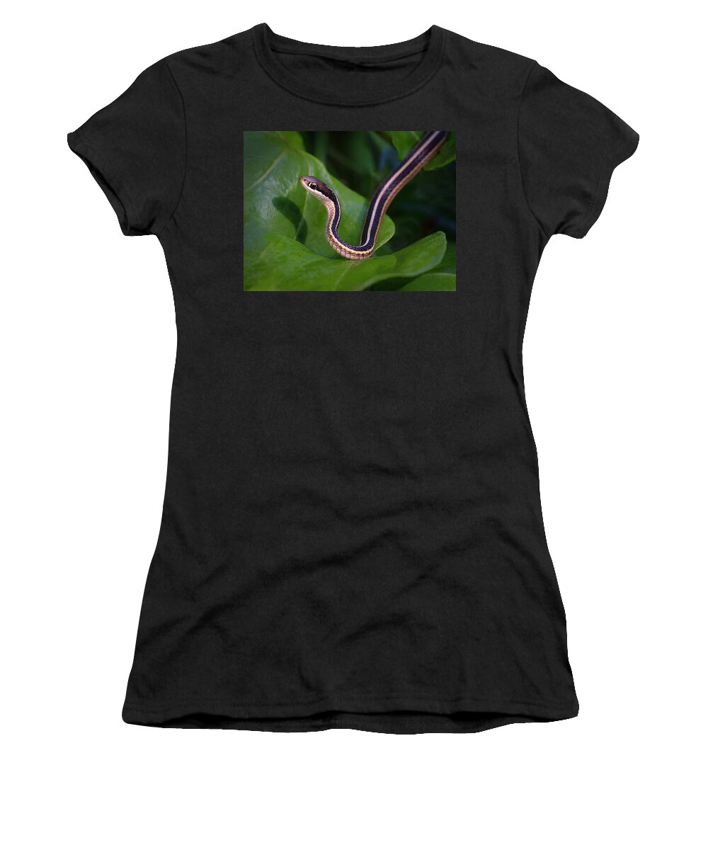 Snake Women's T-Shirt featuring the photograph Ribbon on Green by Art Cole