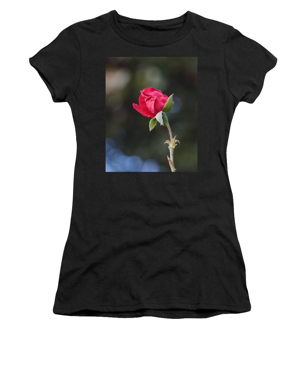 Rose Women's T-Shirt featuring the photograph Rose Bud 3328 by John Moyer