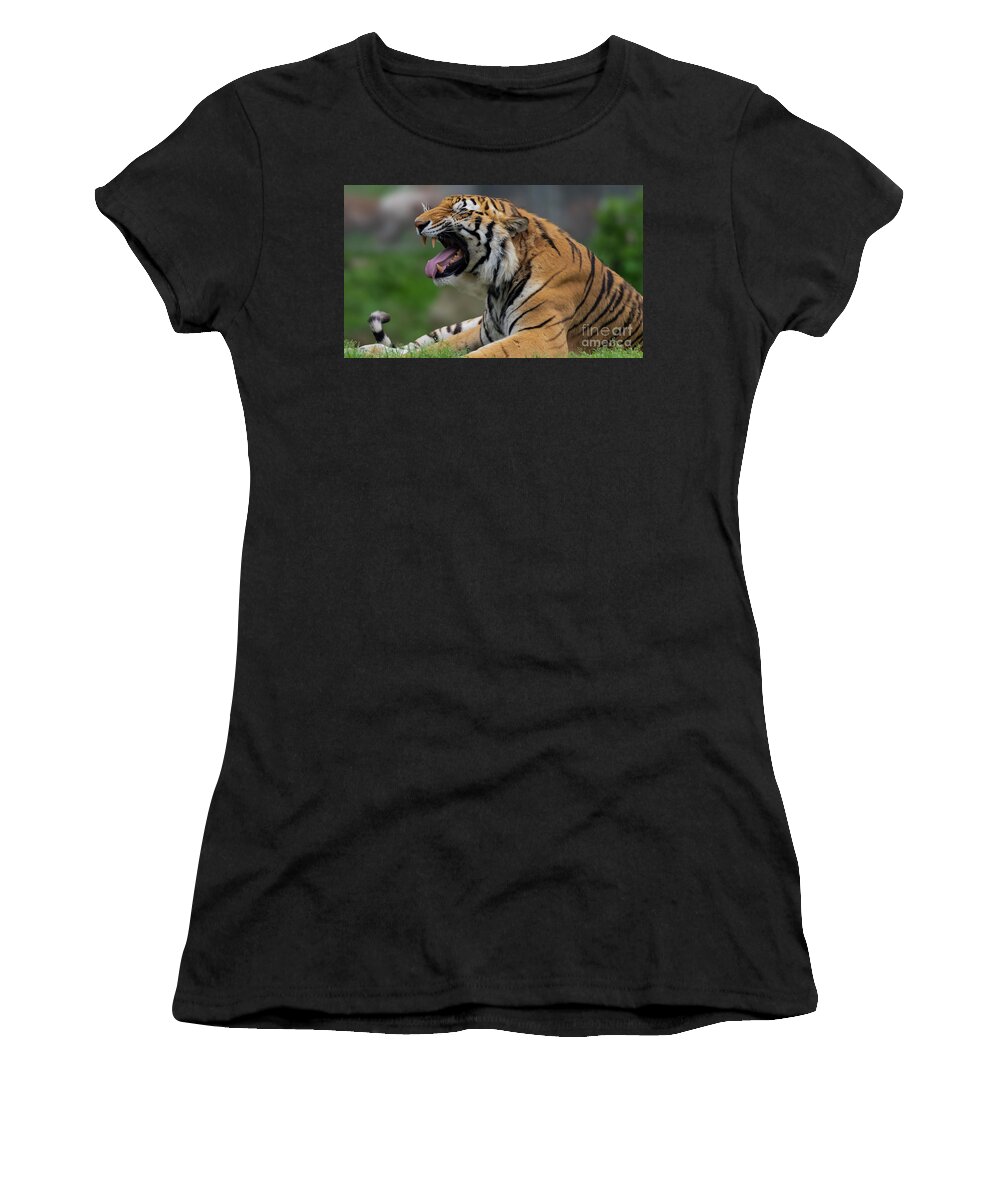 Tiger Women's T-Shirt featuring the photograph Say ahhhhhhh by Sam Rino