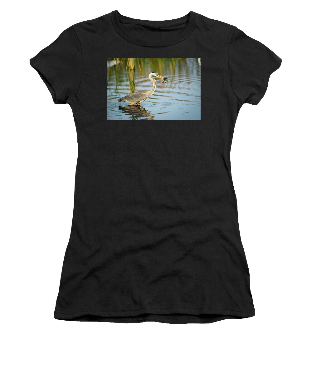 Birds Women's T-Shirt featuring the photograph Snack Time for Blue Heron by Donald Brown