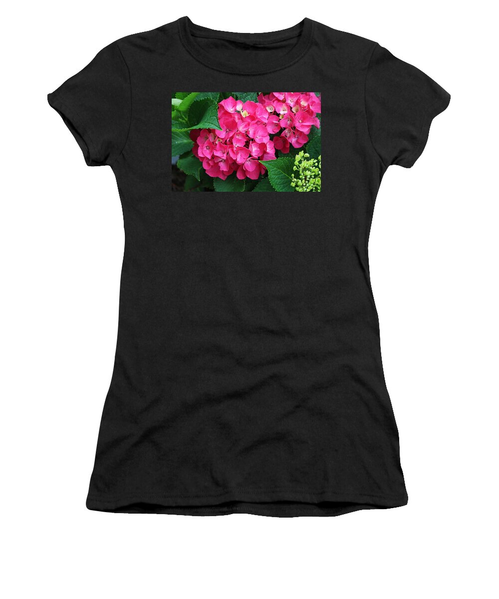 Hydrangea Women's T-Shirt featuring the photograph Spring Hydrangea by Michiale Schneider