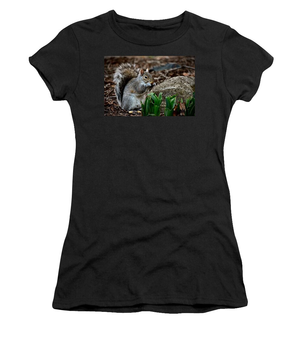 Photography Women's T-Shirt featuring the photograph Squirrel And His Dinner by Jeffrey PERKINS