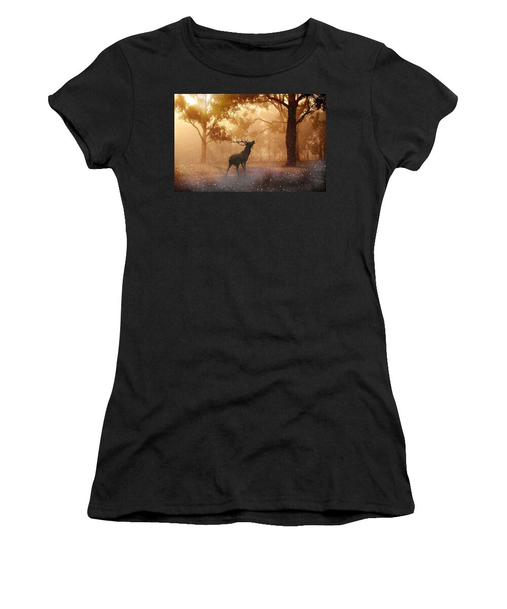 Photo Women's T-Shirt featuring the photograph Stag in the forest by Top Wallpapers
