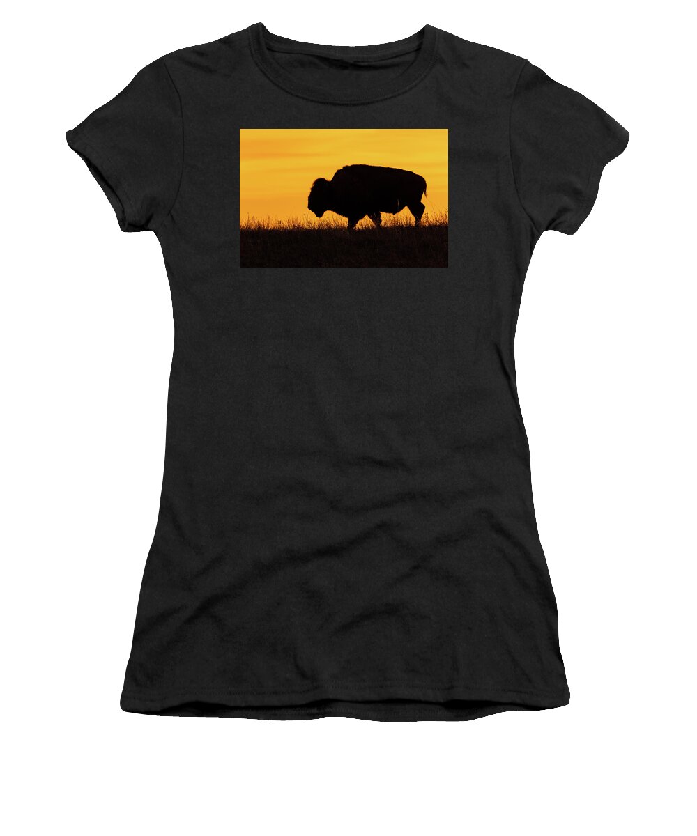 Jay Stockhaus Women's T-Shirt featuring the photograph Sunrise Bison by Jay Stockhaus