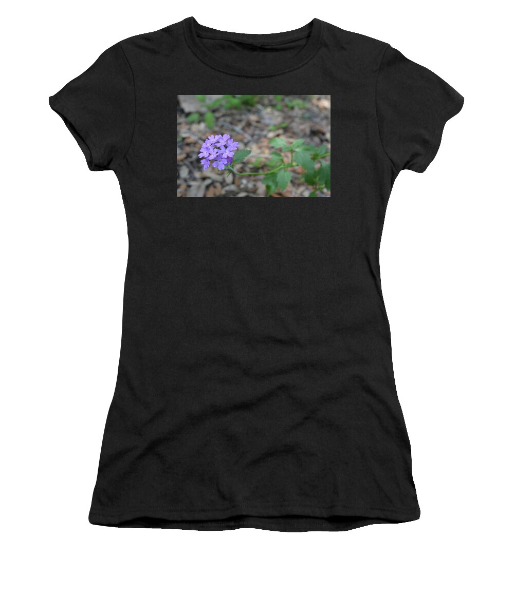 Flower Women's T-Shirt featuring the photograph Tampa Vervain by Aimee L Maher ALM GALLERY