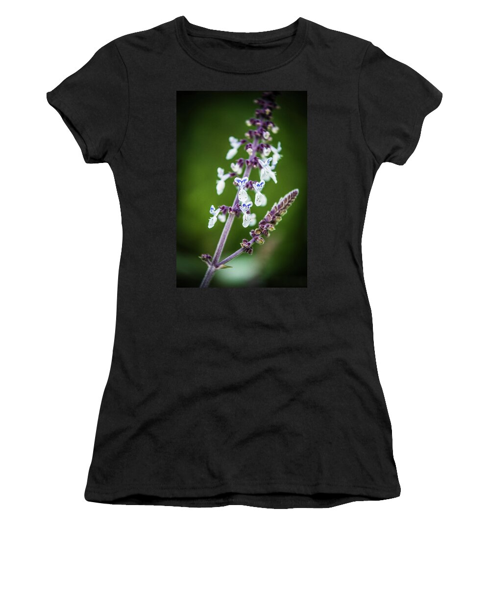 Outdoors Women's T-Shirt featuring the photograph Thuya Garden 2 by Silvia Marcoschamer