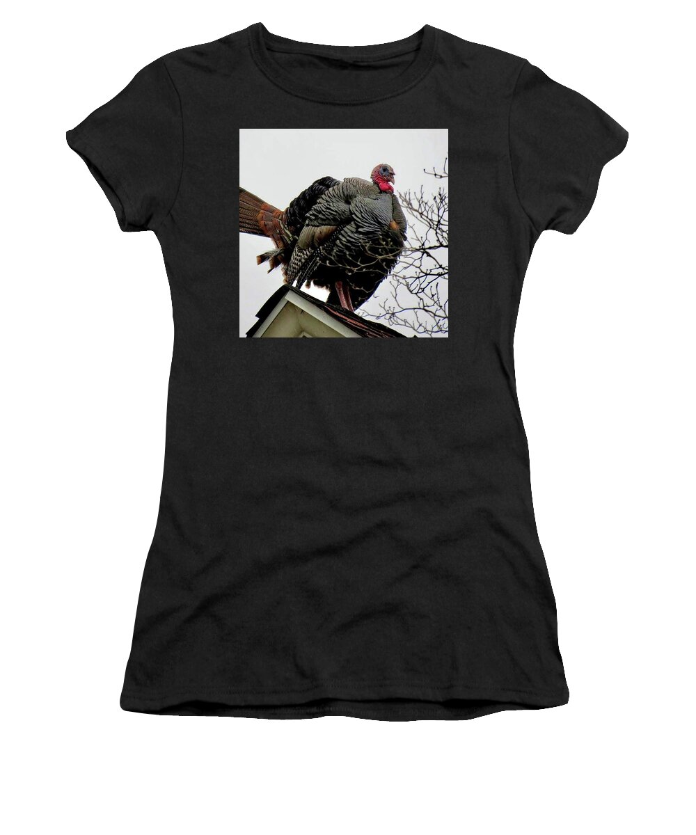 Turkey Women's T-Shirt featuring the photograph Tom Turkey on Rooftop by Linda Stern
