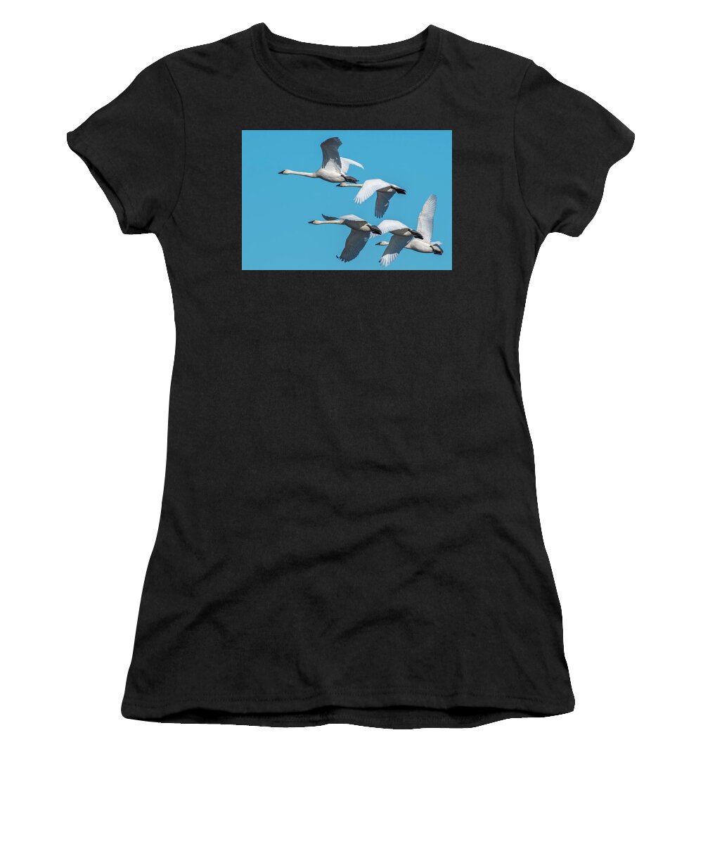 Birds Women's T-Shirt featuring the photograph Tundra Swans in Flight by Donald Brown
