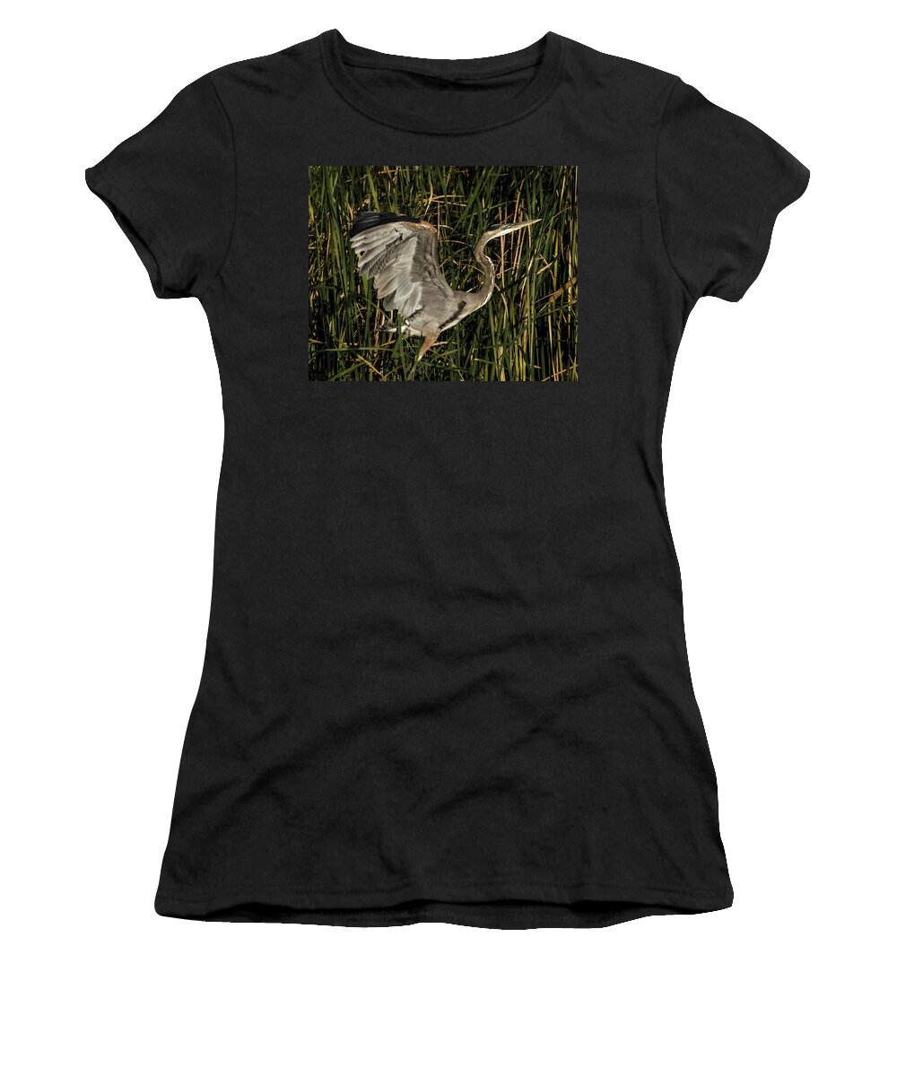 Bird Women's T-Shirt featuring the photograph Uplifting by Ray Silva