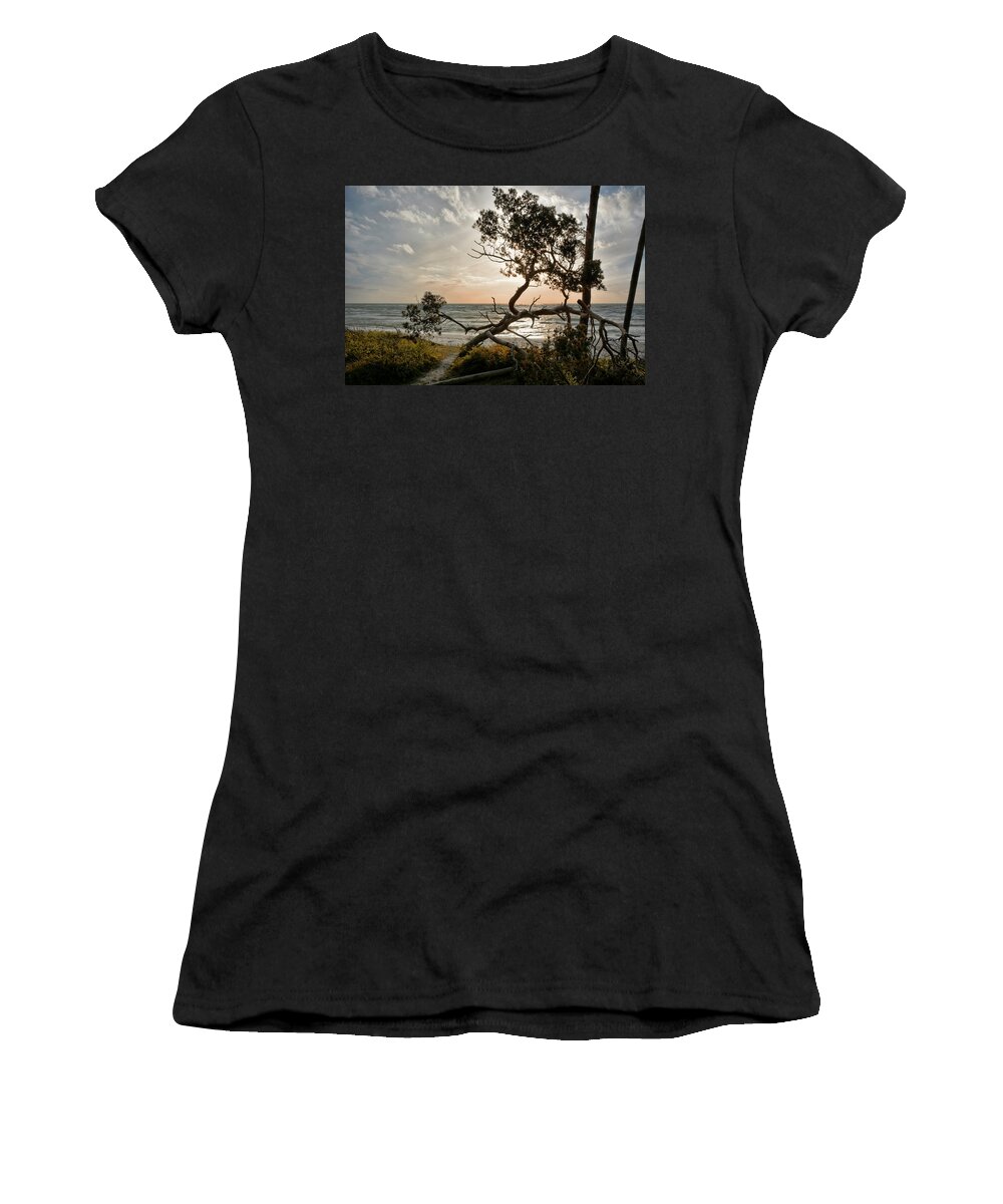Fischland-darss-zingst Women's T-Shirt featuring the photograph Where the Darss-Forest meets the Baltic Sea by Joachim G Pinkawa