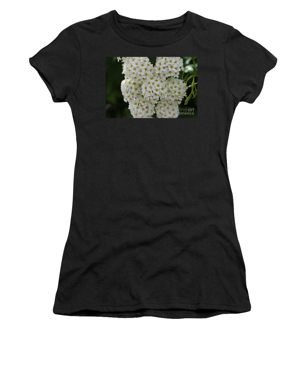 White Bliss Women's T-Shirt featuring the photograph White Bliss by Barbra Telfer
