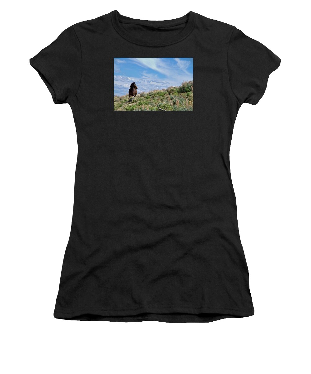 Horse Women's T-Shirt featuring the photograph Wild Paint Mustang stallion by Waterdancer