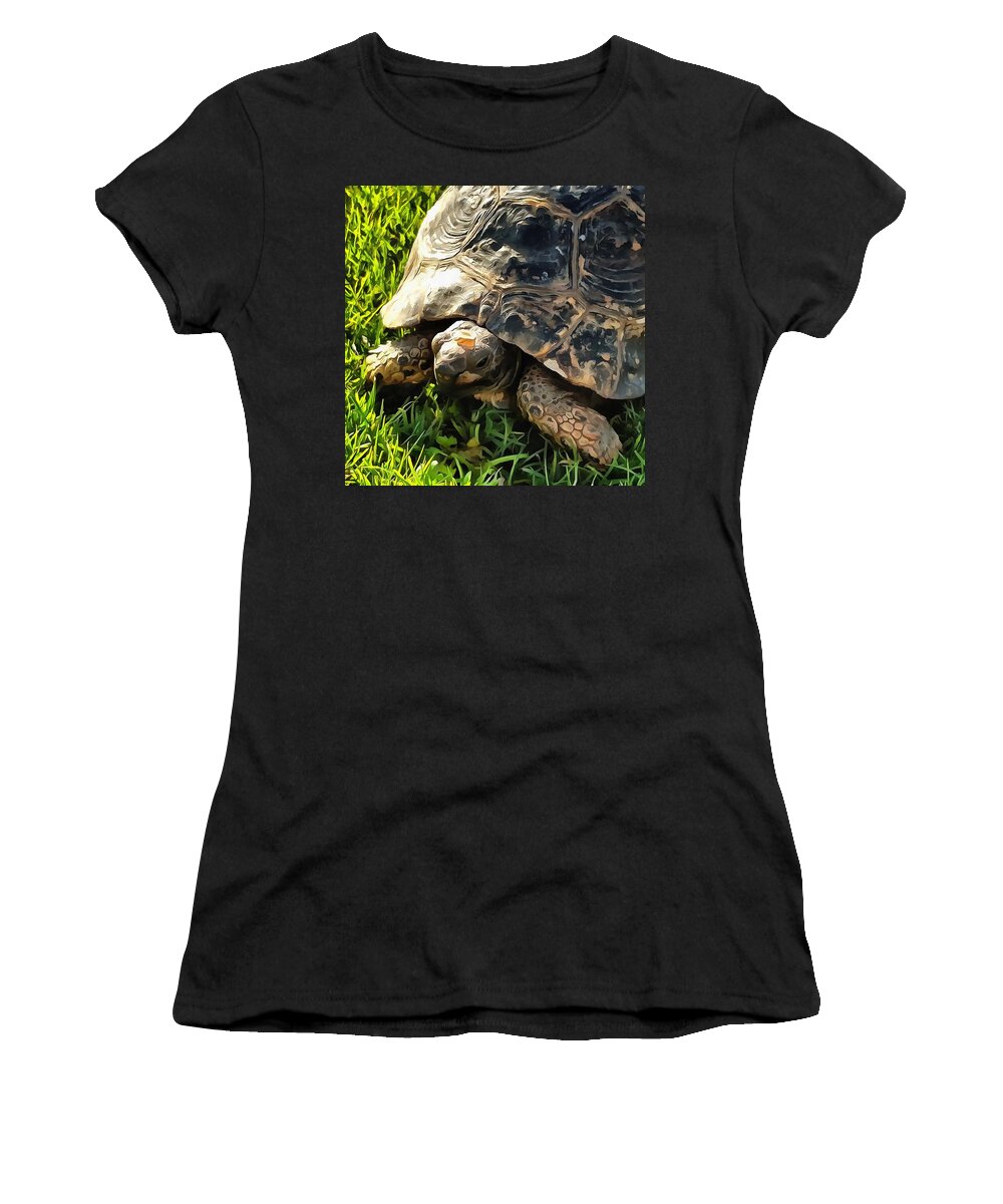 Tortoise Lover Women's T-Shirt featuring the painting Wild Tortoise In Grass Meadow by Taiche Acrylic Art