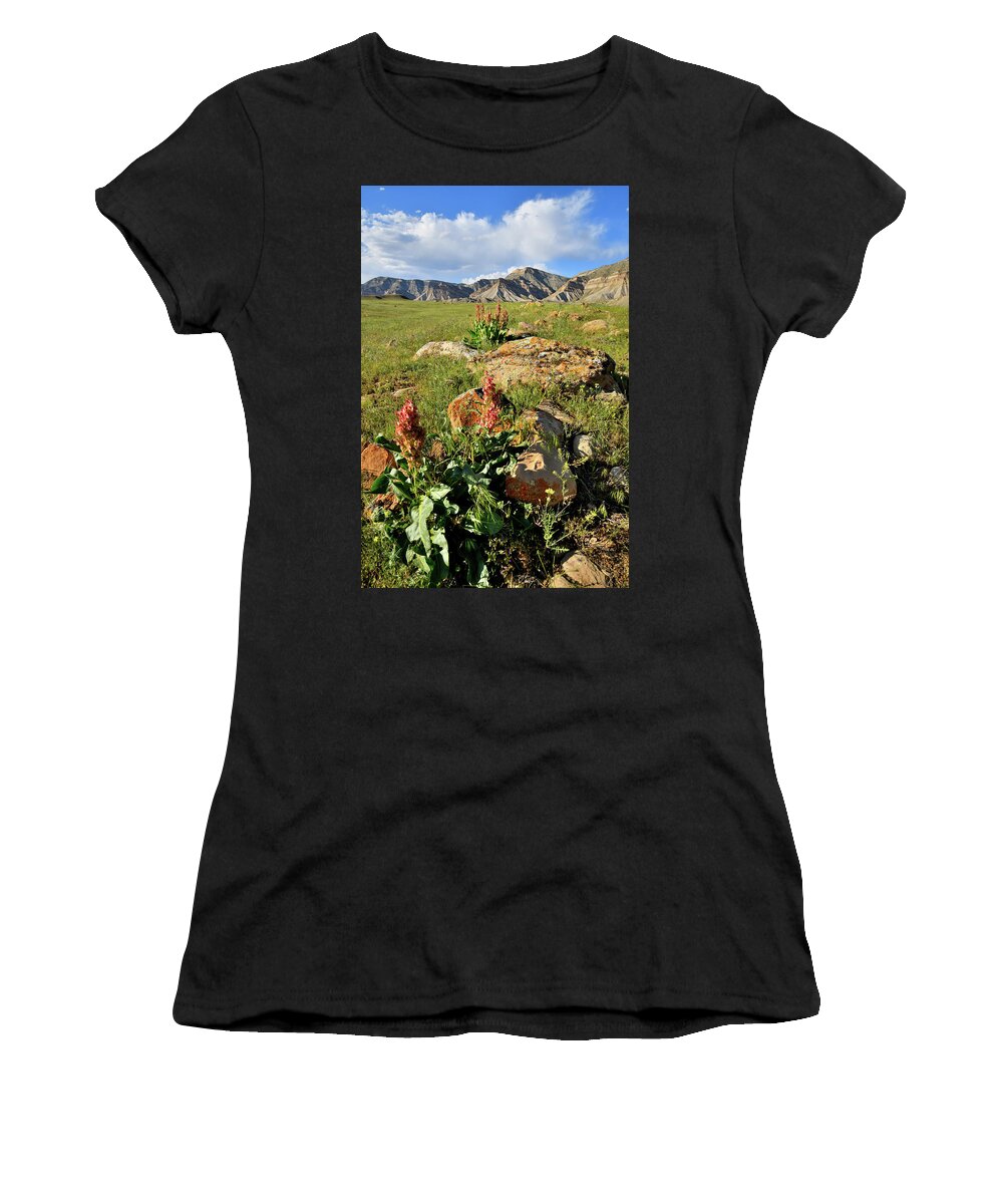 Book Cliffs Women's T-Shirt featuring the photograph Wildflower Blooms in Book Cliffs by Ray Mathis