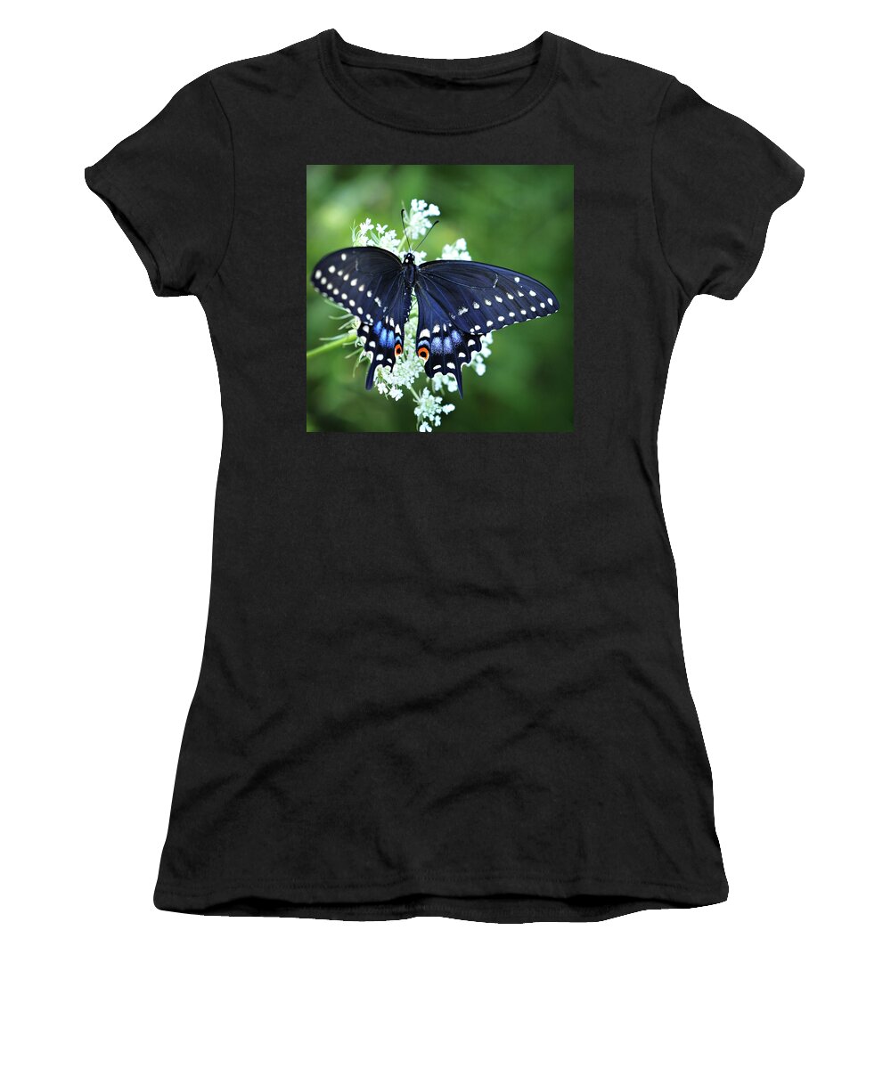 Swallowtail Butterfly Photography Women's T-Shirt featuring the photograph Wonder by Michelle Wermuth