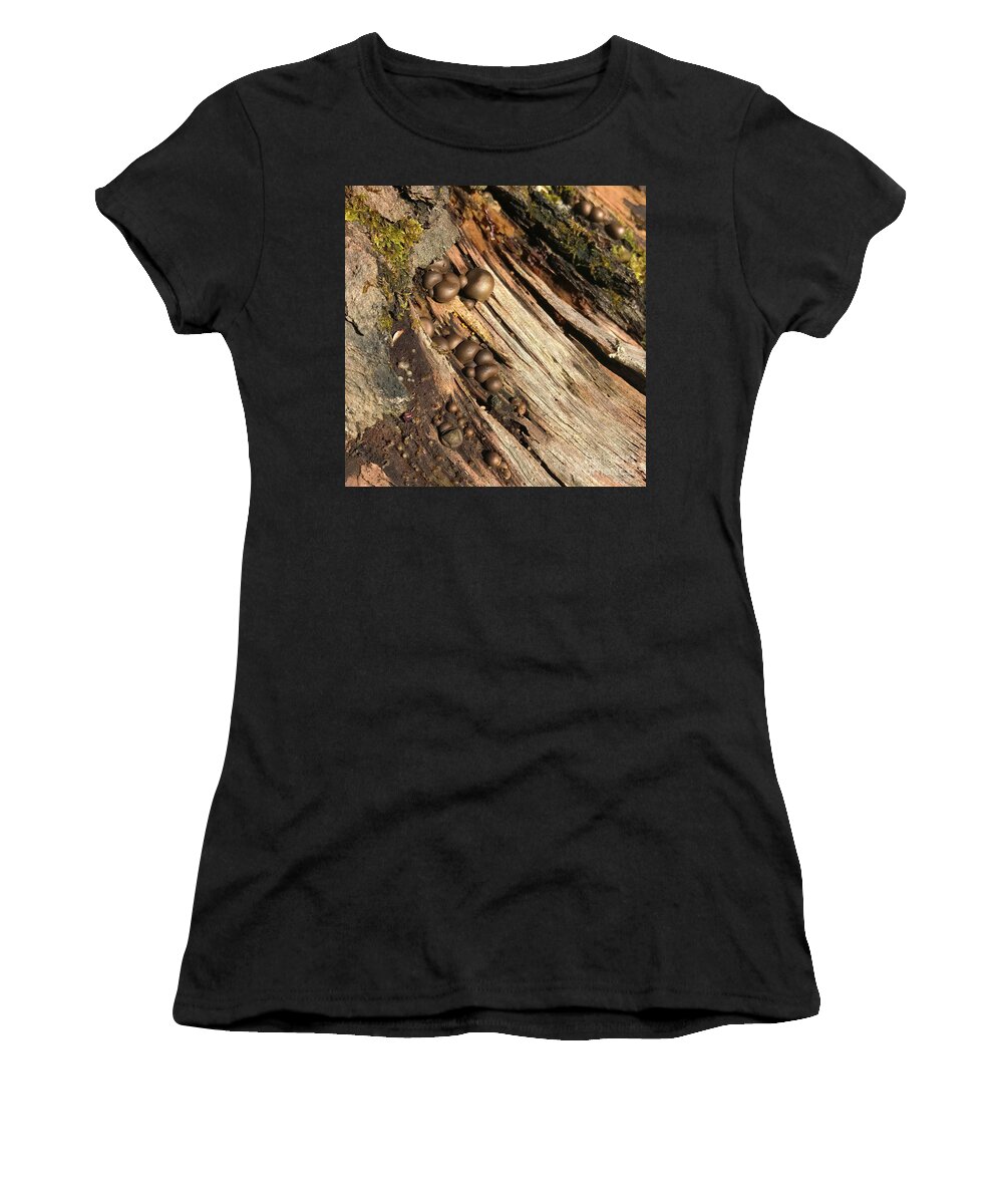 Photography Women's T-Shirt featuring the photograph Woodland 52 by Amy E Fraser